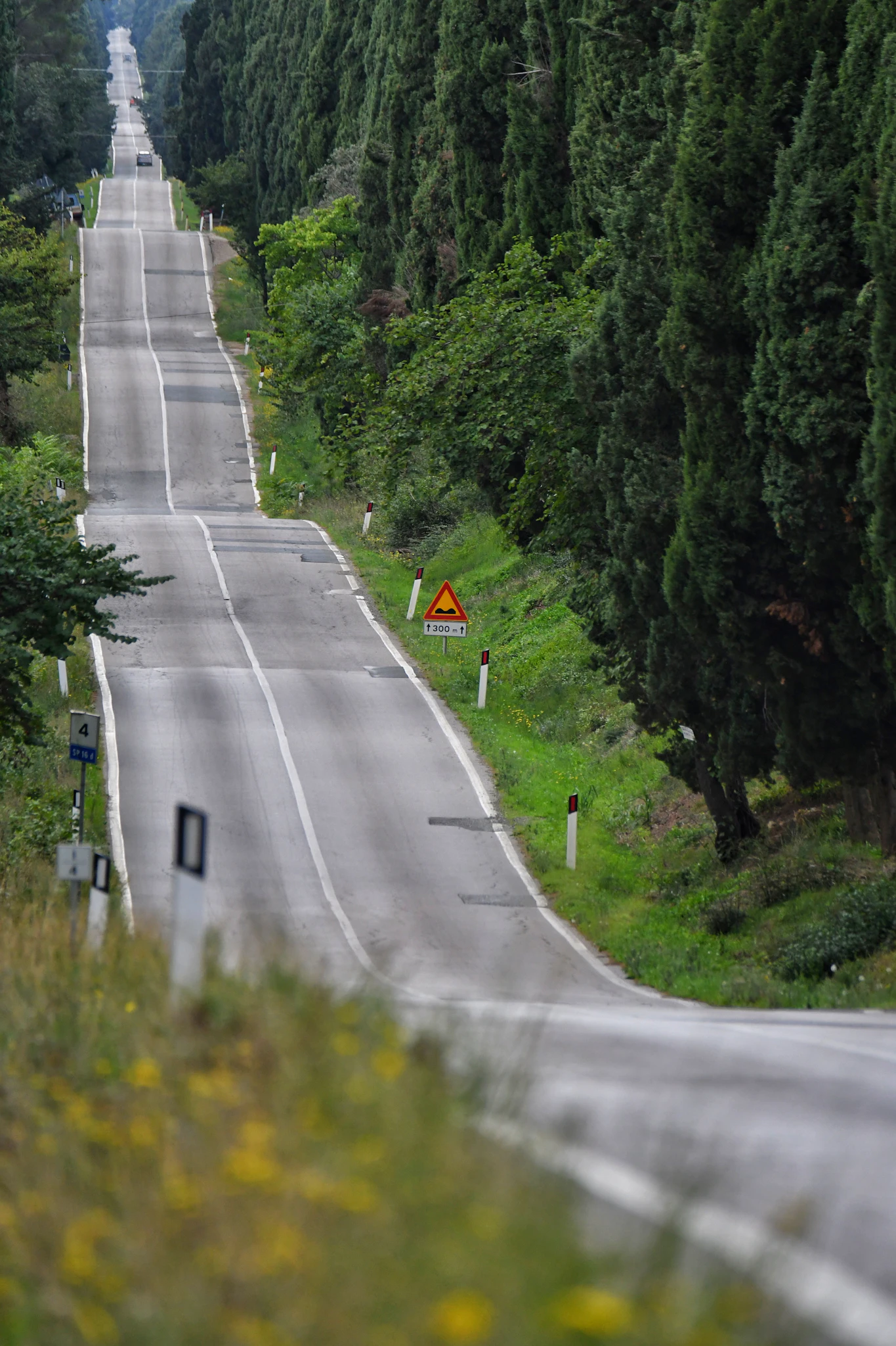 A long road with trees on both sides of it