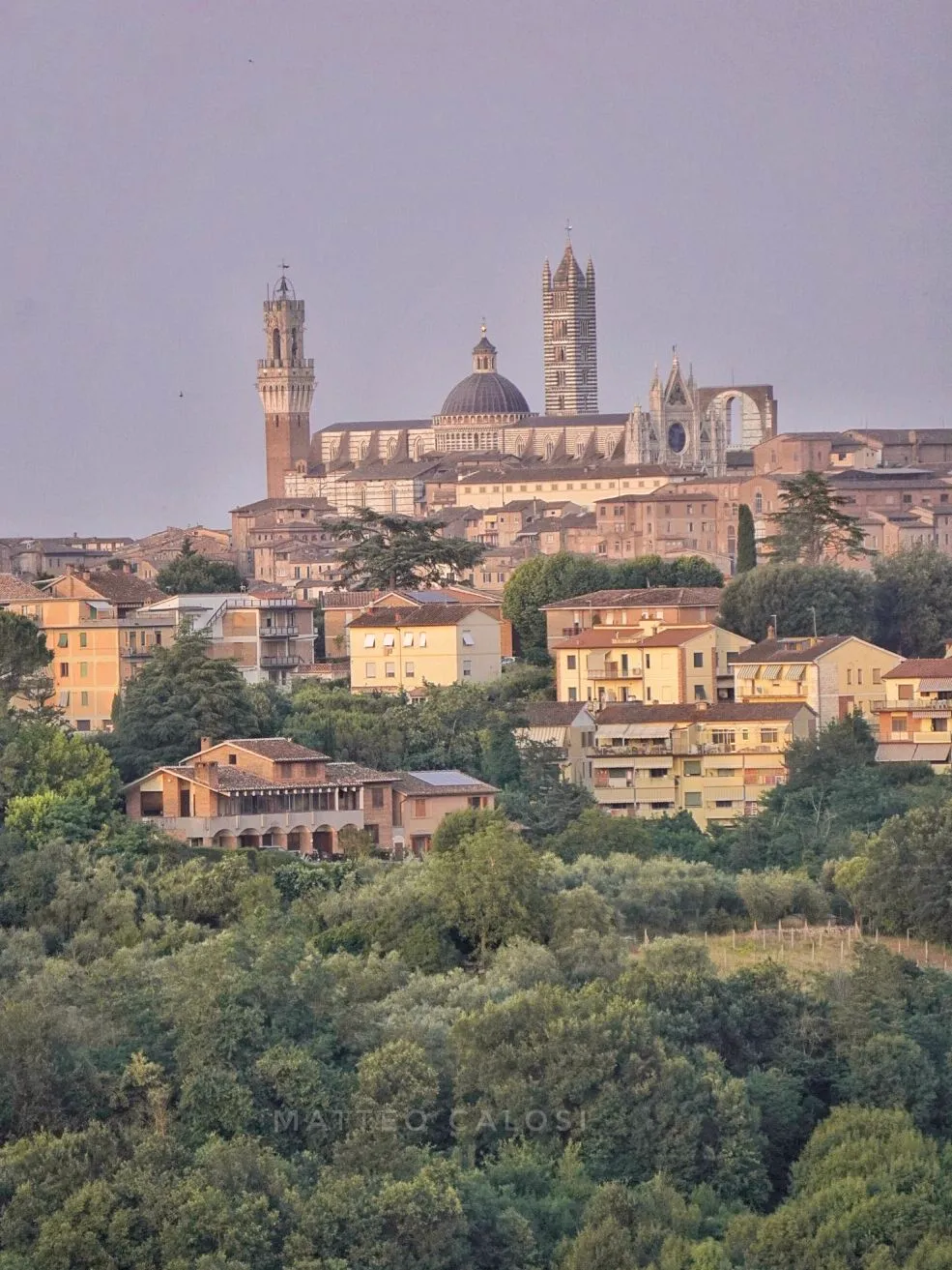 siena.webp